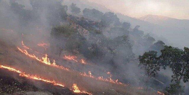 خائیز مجددا شعله ور شد خائیز مجددا شعله ور شد
