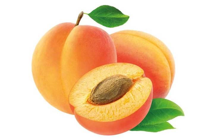 نکات مهم در نگهداری و خرید زردآلو
