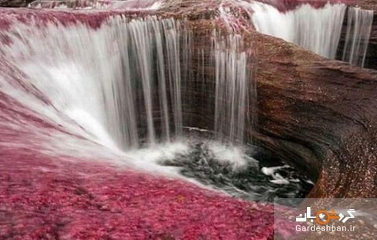 رودخانه کریستال پنج رنگ در کلمبیا؛زیباترین دریاچه جهان، رودخانه کریستال پنج رنگ در کلمبیا؛زیباترین دریاچه دنیا، عکس