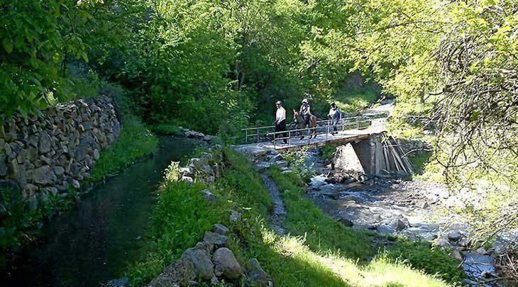 بازدید بیش از 30هزار نفر از روستای شیت بازدید بیش از 30هزار نفر از روستای شیت