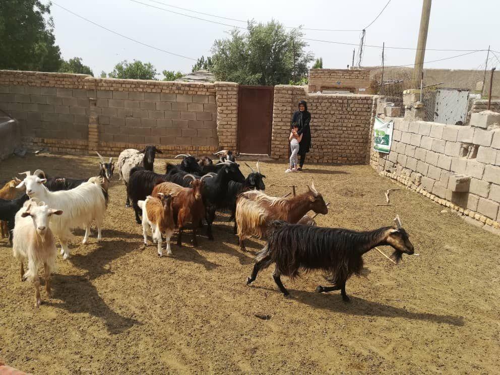 خبرنگاران بنیاد برکت یک هزار و 359 فرصت شغلی در اردبیل ایجاد می نماید