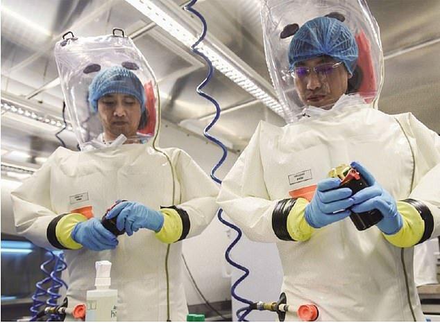 فرضیه جدید آمریکایی ها درباره منشاء کرونا ویروس