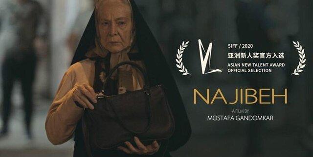 مهم ترین چالش سینمای مستقل به روایت کارگردان نجیبه