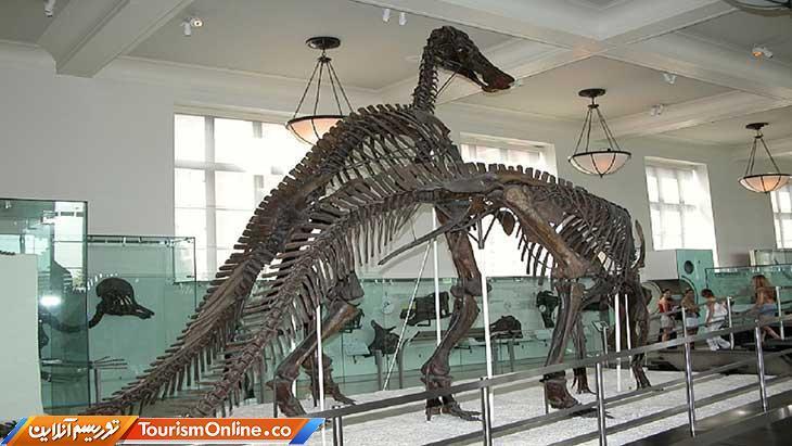 استخوان های بزرگترین دایناسور دنیا را در کدام موزه ببینیم؟