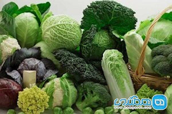 با خوردن کلم کرونا نگیرید!