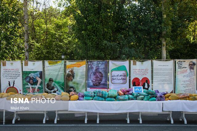 رشد 15 درصدی کشفیات موادمخدر در فارس