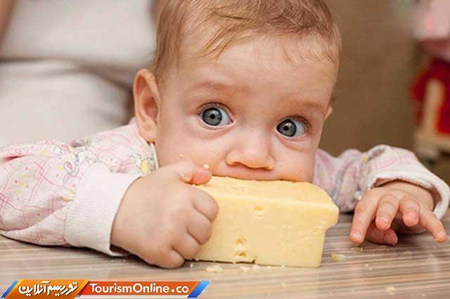 تاثیر پنیر برروی افزایش طول عمر