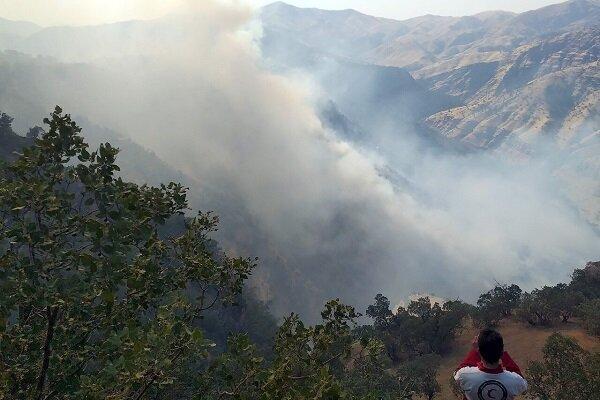 جدال آتش و جنگل در اندیکا به روز نهم رسید جدال آتش و جنگل در اندیکا به روز نهم رسید