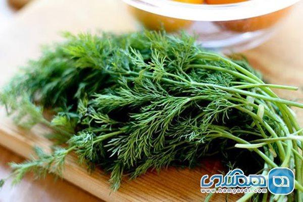 سبزی مخصوص دیابتی ها که نباید فراموشش نمایند!