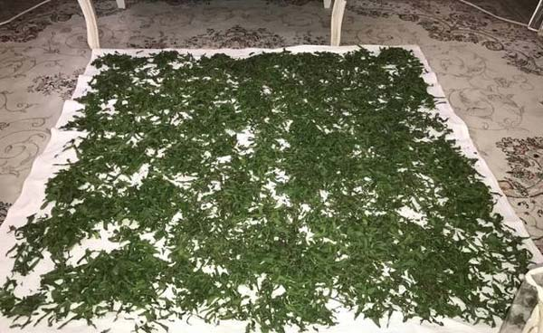 چند روش خشک کردن سبزی چند روش خشک کردن سبزی