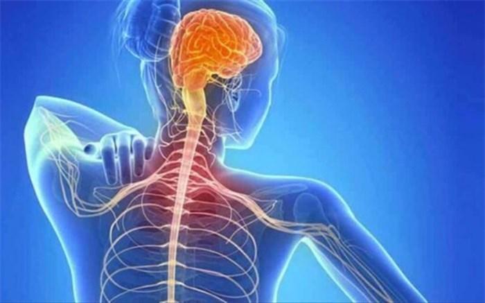 جلوگیری از پیشرفت MS با کنترل روح و روان جلوگیری از پیشرفت MS با کنترل روح و روان