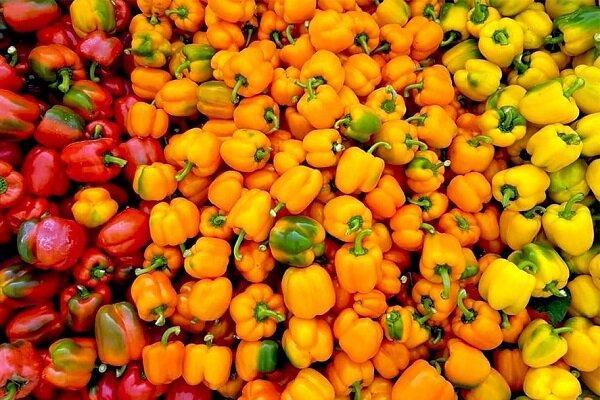 سموم شیمیایی و نیترات باقی مانده در صیفی جات کاهش می یابد