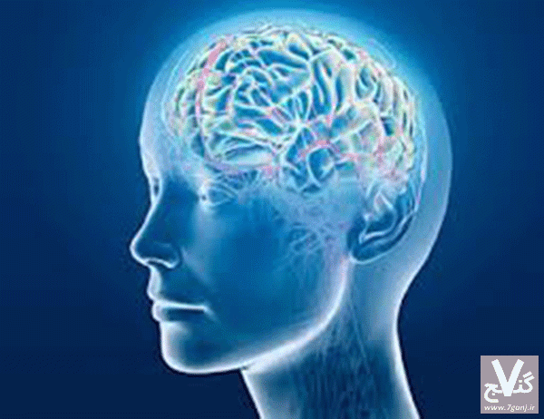 گرسنگی باعث تقویت حافظه می شود !!!