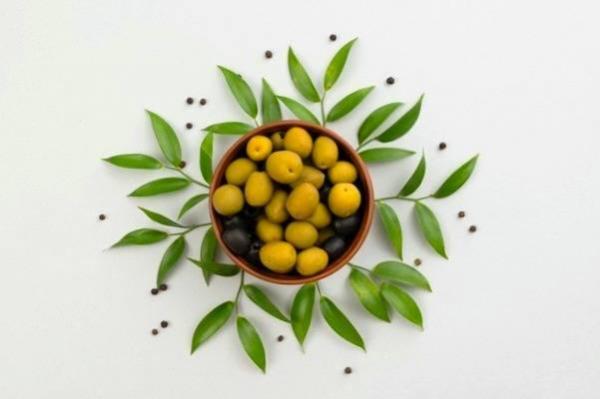 طرز شور کردن و از بین بردن تلخی زیتون طرز شور کردن و از بین بردن تلخی زیتون