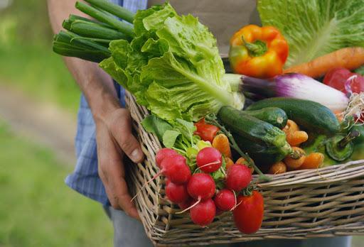 چرا باید فیبر بخوریم؟