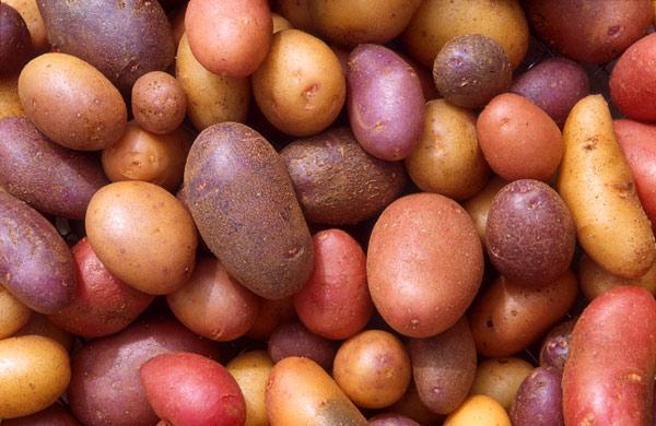 بهترین روش ها برای گرفتن شوری غذا بهترین روش ها برای دریافت شوری غذا