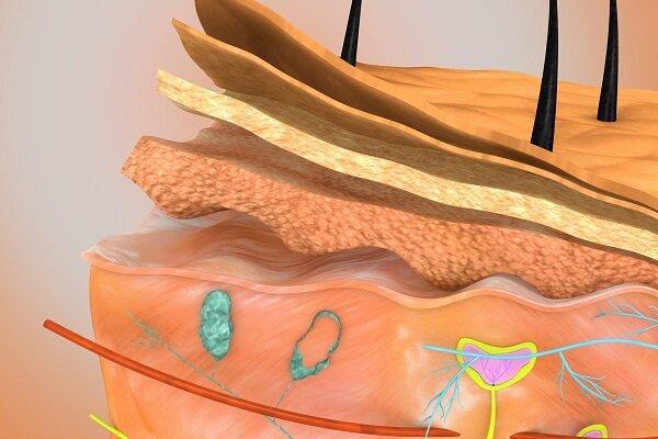 چسب زخمی که میزان جذب اکسیژن در بافت پیوندی را کنترل می کند