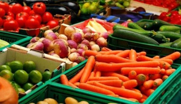 شیریک تجربه خرید اجتماعی به صرفه شیریک تجربه خرید اجتماعی به صرفه