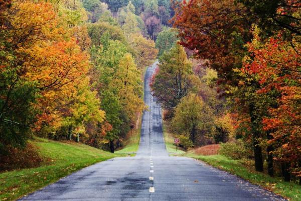سفر جاده ای پاییزی، تجربه ای رنگارنگ سفر جاده ای پاییزی، تجربه ای رنگارنگ