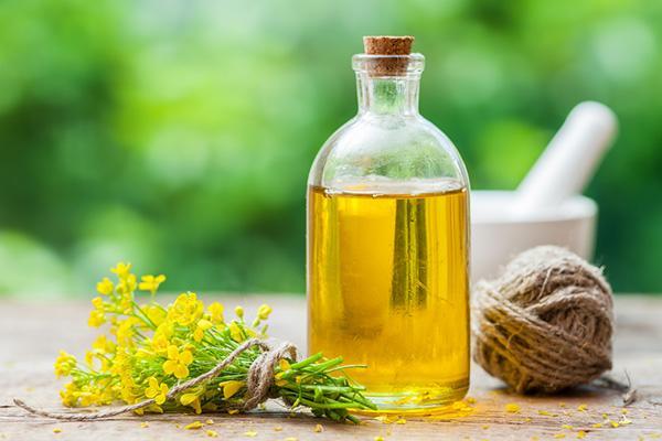 آشنایی با مضرات و خواص روغن کانولا آشنایی با مضرات و خواص روغن کانولا
