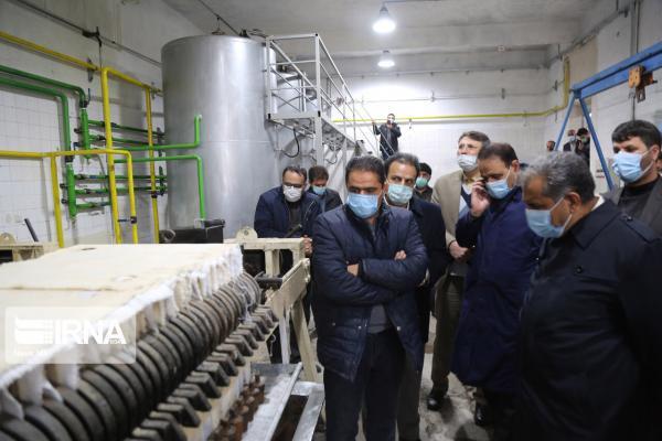 خبرنگاران استاندار قزوین از یک واحد تولید روغن زیتون در طارم سفلی بازدید کرد