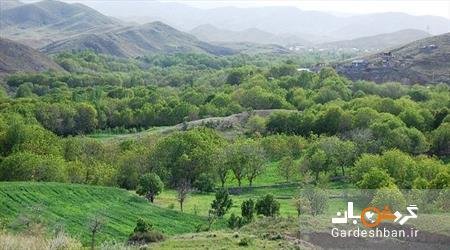آشنایی با دره زیبا و سرسبز قاهان در قم