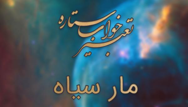 تعبیر خواب مار سیاه - دیدن مار سیاه در خواب چه تعبیری دارد؟
