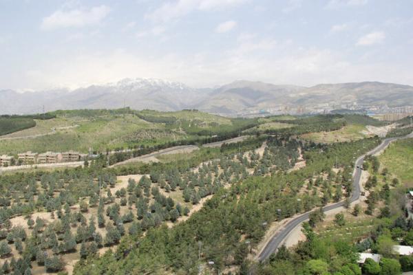 بهبود سیستم روشنایی بوستان های منطقه