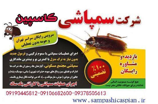 اهمیت سمپاشی توسط کارشناسان حرفه ای
