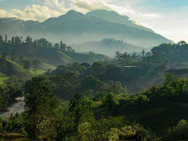 معرفی 11 جنگل زیبا و دیدنی در کشورهای مختلف دنیا