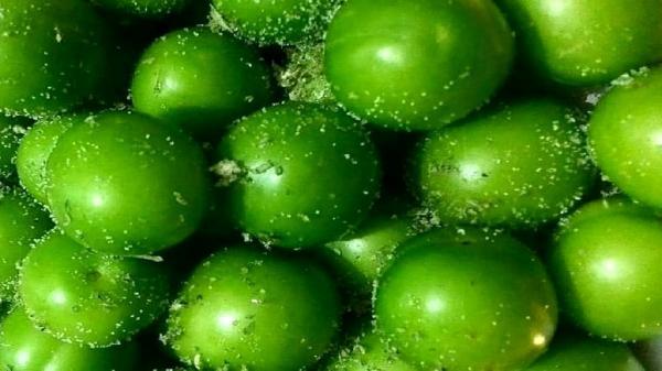 قیمت 10 میوه گران در میادین میوه و تره بار تهران قیمت 10 میوه گران در میادین میوه و تره بار تهران