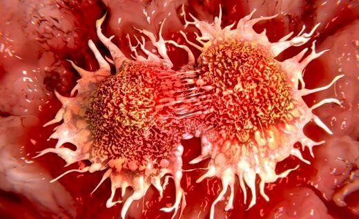 این میوه خوشمزه خطر ابتلا به سرطان پوست را افزایش می دهد