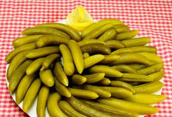 بهترین روش کاهش شوری خیارشور