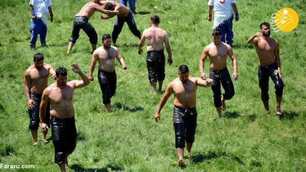 (تصاویر) مسابقات کشتی با بدن روغنی (تصاویر) مسابقات کشتی با بدن روغنی