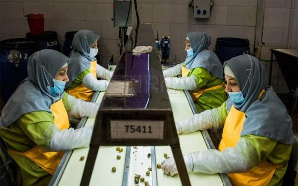 تولید نرم افزار سامان دهنده ضعف و قوت خط تولید