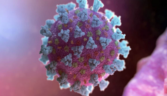 ویروس 3 بار جهش یافته را بشناسید