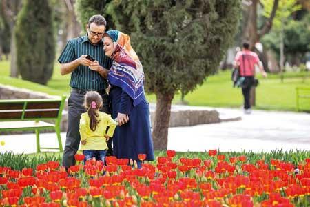 فرزند کمتر زندگی غمگین تر
