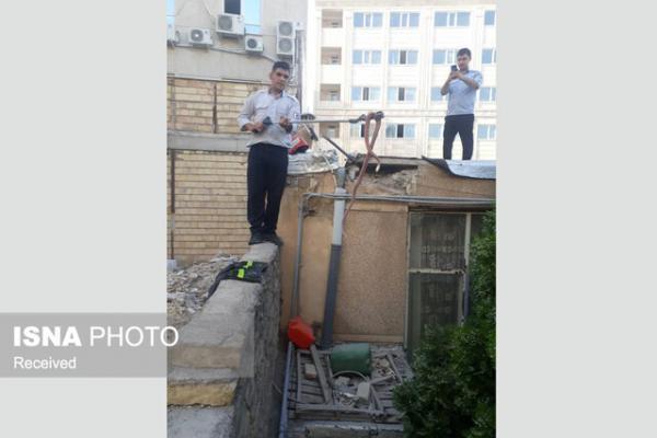 زنده گیری مار سمی 2 متری در زنجان