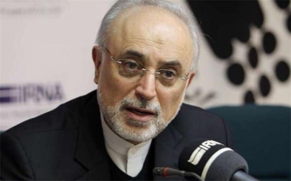 تامین اقتصادی عامل کندی تکمیل نیروگاه های 2 و 3 بوشهر است