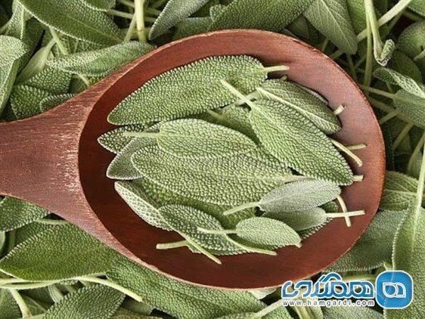 تاثیر عصاره مریم گلی خاردار بر افسردگی و اضطراب