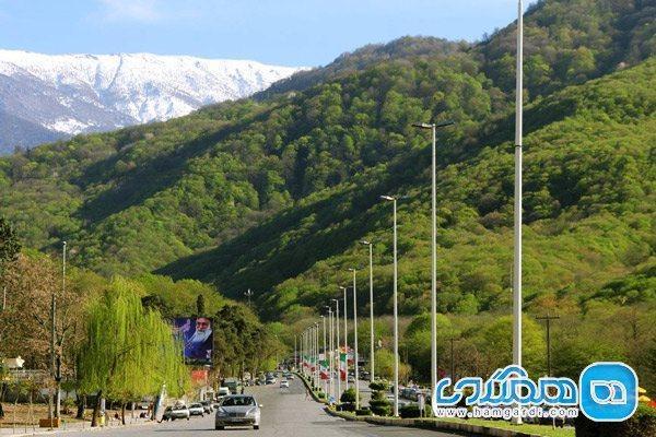 جنگل ناهارخوران، نگینی سبز در شمال ایران