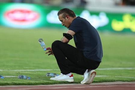 گل محمدی محروم شد گل محمدی محروم شد