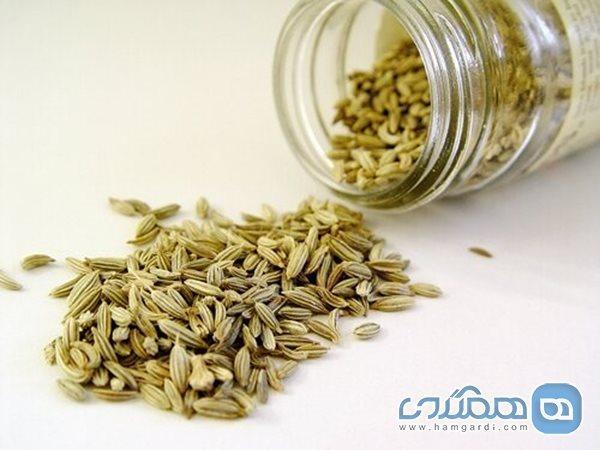 رازیانه، ضد سرطان و مفید برای خانم ها رازیانه، ضد سرطان و مفید برای خانم ها