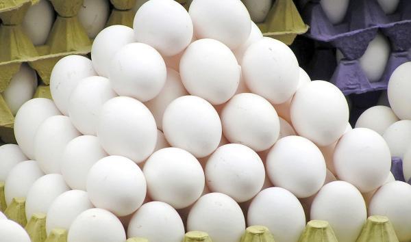 تخم مرغ به اندازه کافی در کشور فراوری می گردد، ضرورت نظارت بر شبکه توزیع