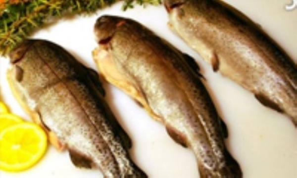 چی بهتر از ماهی؟