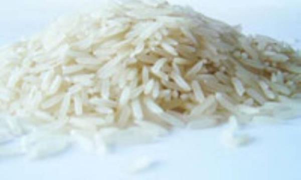 برنج، دانه ایی سفید و مغذی برنج، دانه ایی سفید و مغذی