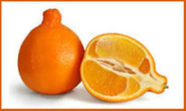 کالری های موجود در نارنگی تانجلو کالری های موجود در نارنگی تانجلو