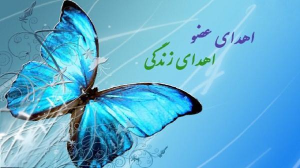 اعضای بدن 2 بیمار مرگ مغزی در خراسان رضوی جان 10 نفر را نجات داد