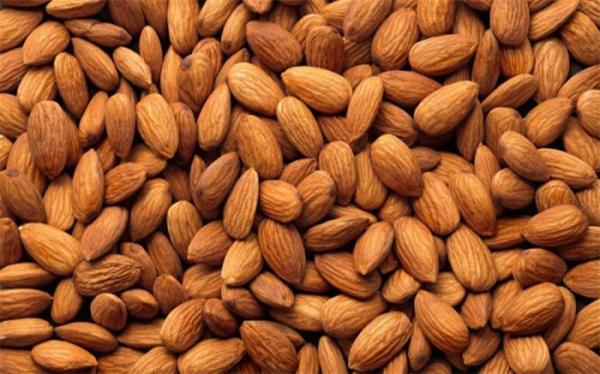 فواید مصرف منظم بادام فواید مصرف منظم بادام