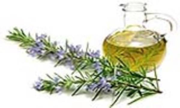 روغن رزماری برای مو
